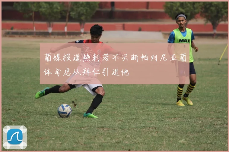 葡媒报道热刺若不买断帕利尼亚葡体考虑从拜仁引进他
