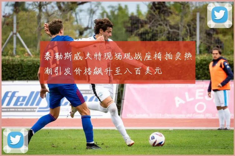 泰勒斯威夫特现场观战座椅拍卖热潮引发价格飙升至八百美元